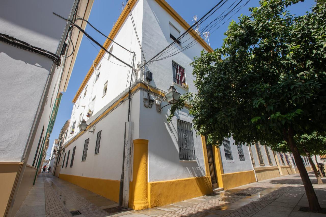 Apartamentos Tinte 8 Córdova Exterior foto